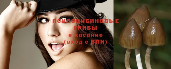Альфа ПВП Алзамай