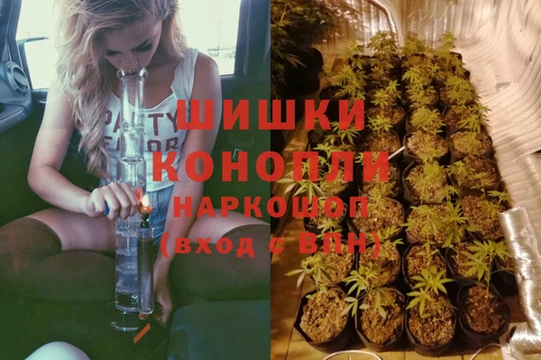 бутират Алексин