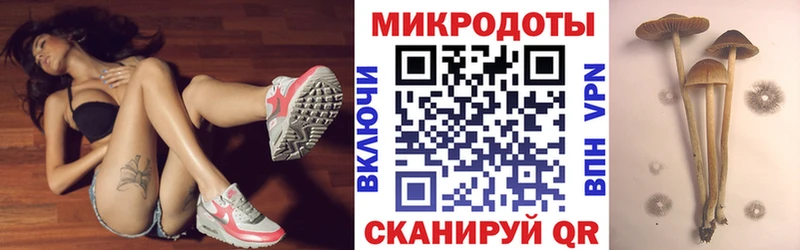 Галлюциногенные грибы прущие грибы  Лянтор 